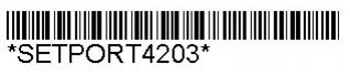 Description: setport4203