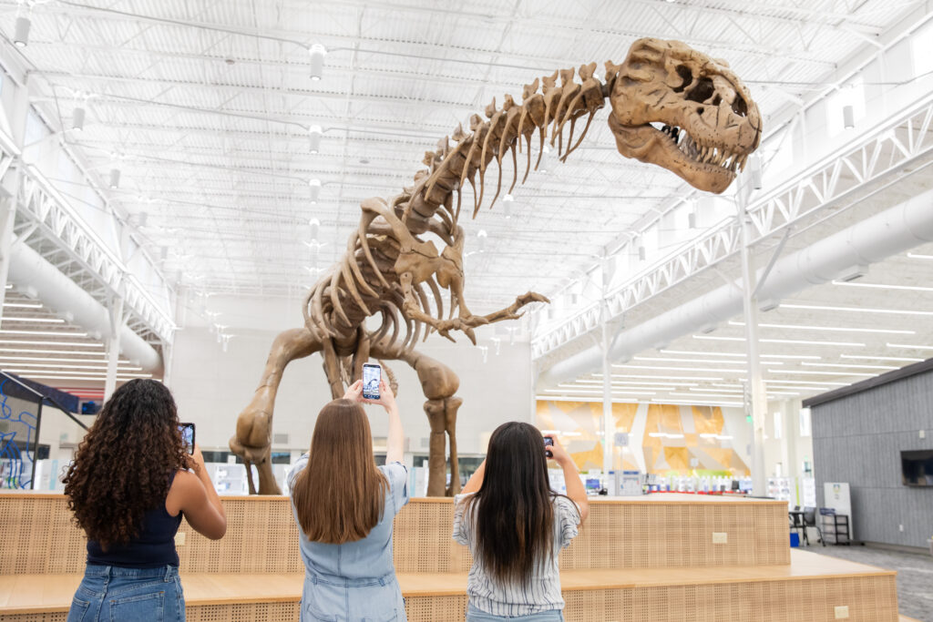 Natural history museum
